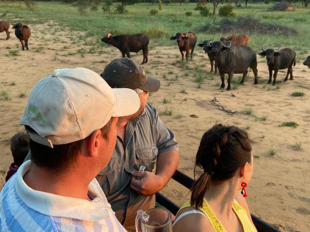 Kigeni Safari Lodge & Spa Ваальватер Экстерьер фото