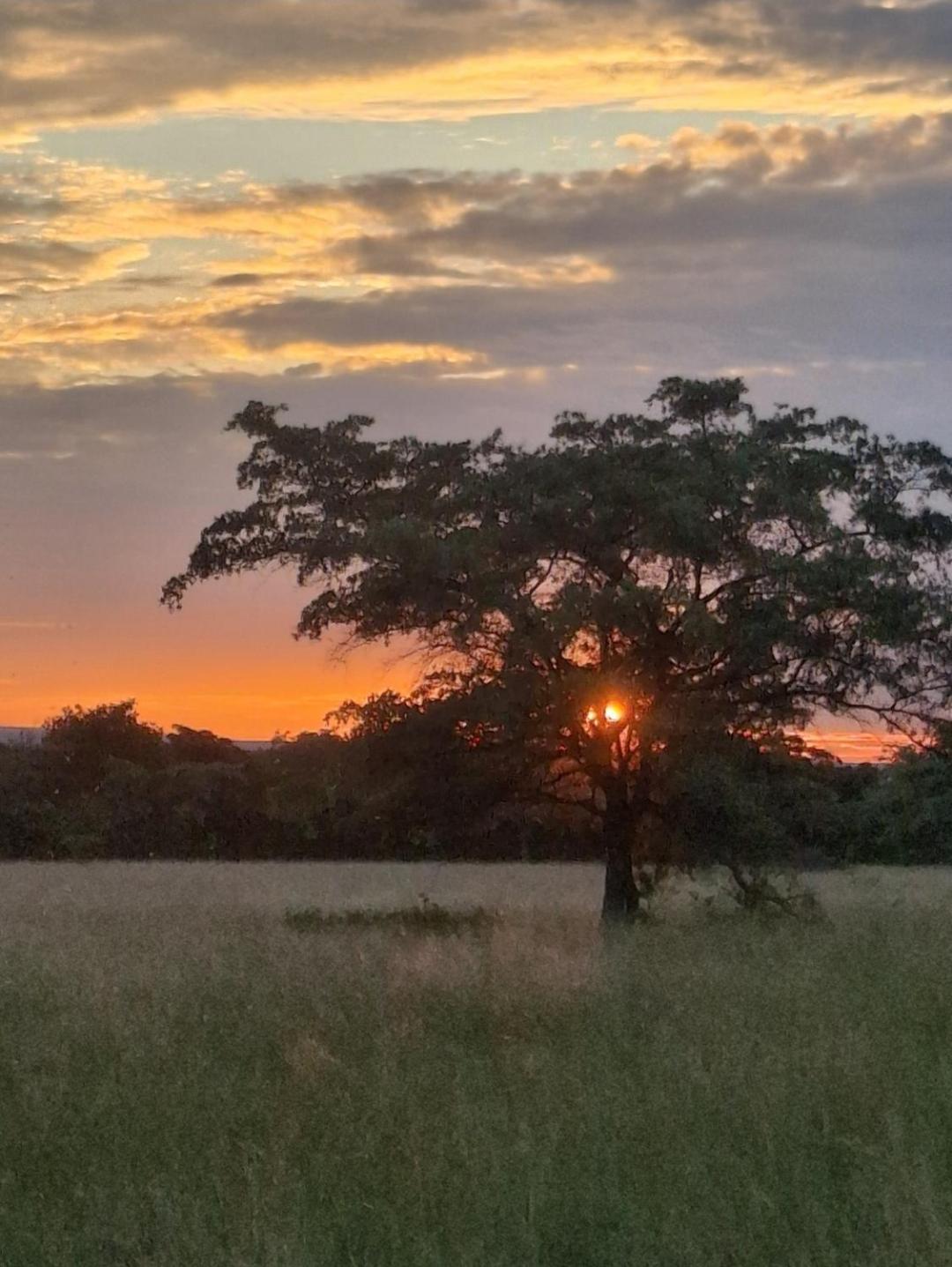Kigeni Safari Lodge & Spa Ваальватер Экстерьер фото